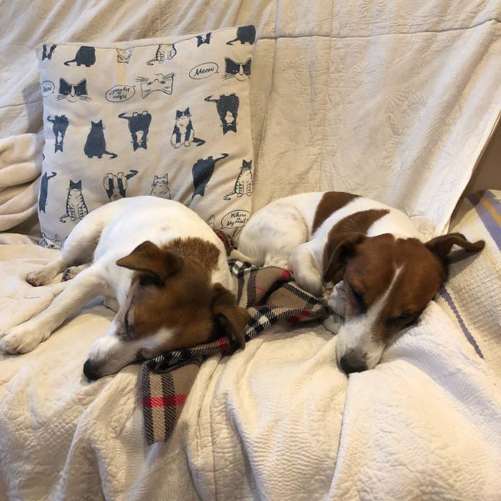 E3a563be 2108 45e3 a1cf d9387af3dd33 1513518816853