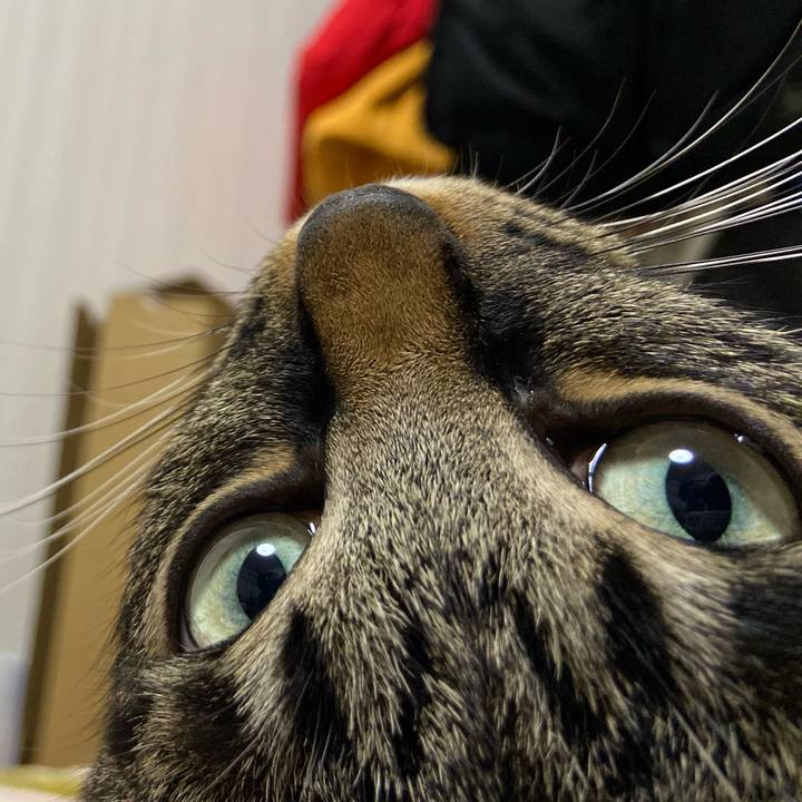 E3a56abf 862a 441f b9f3 f7a2f5633c9f 1688127004774