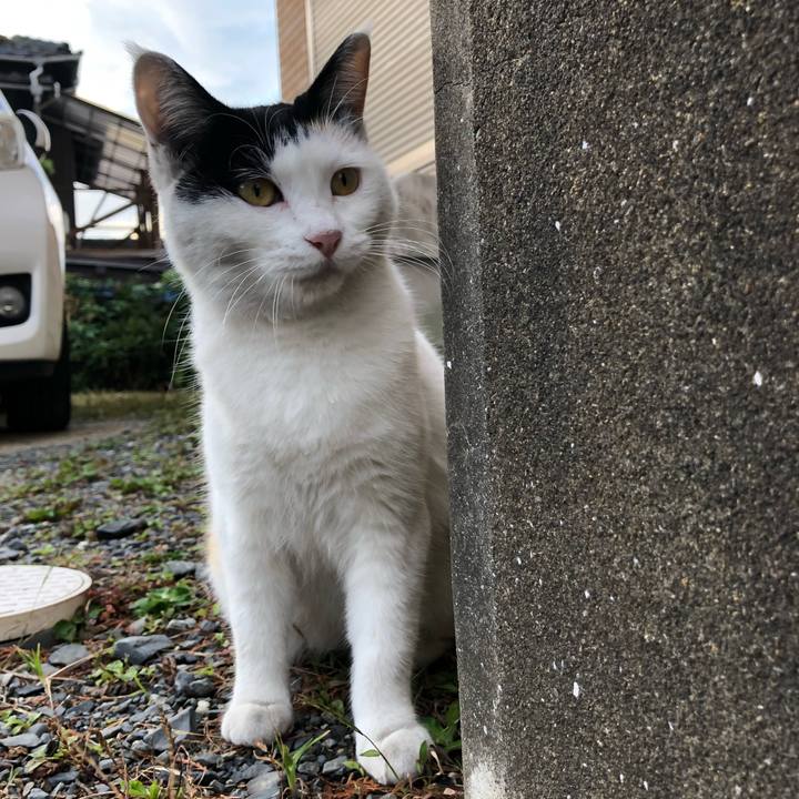 E3a57e11 a904 4526 abd1 3fd6ccd3eb44 1603231984472