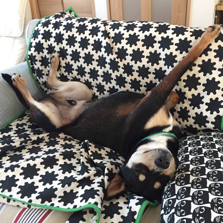 E3a5bc0d 46dc 43e4 a379 edc22e13570c 1526886467419