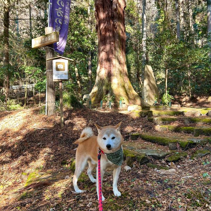 E3a5cfe6 fcea 41ae 91ec 5a9f61c04d62 1737027773732