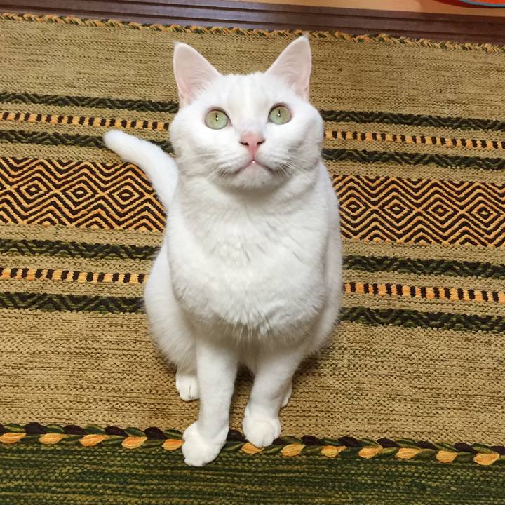 E3a5ee6c c9d8 41d8 b01f 15f1348069d7 1509023817975