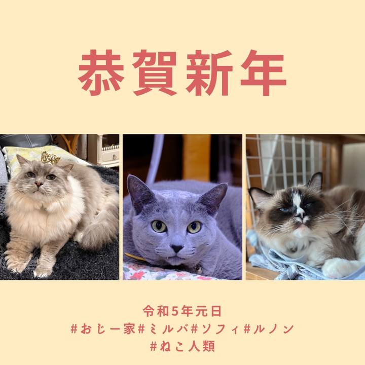 E3a62b66 3d73 4a2f 9f4e 219ea421ef05 1672559412819