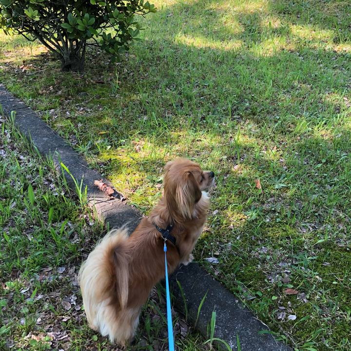 E3a66c7a f0cc 401f 8d13 dd461b96f5c1 1527986045591