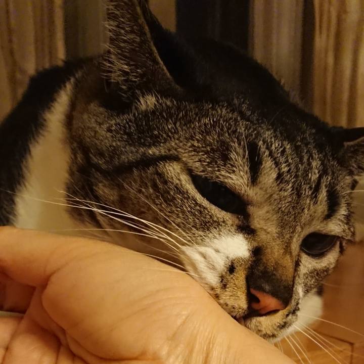 E3a66cbd 71af 4a84 927e a13864c8cc85 1613265706023