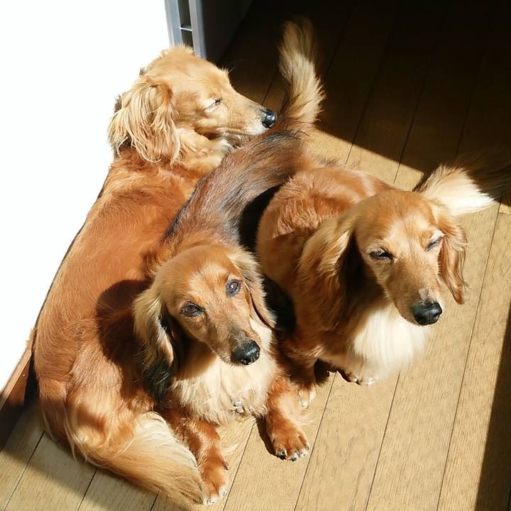 E3a6a1a2 44dc 4d96 b9a8 7ac31803311f 1767181257795