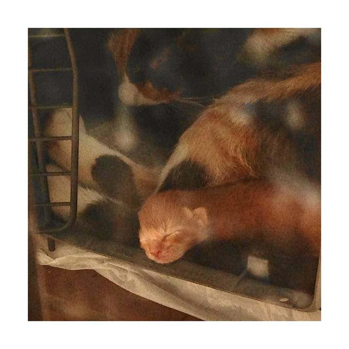 E3a6c357 78f5 4d31 9a5c 4e939e3544f2 1643175637599