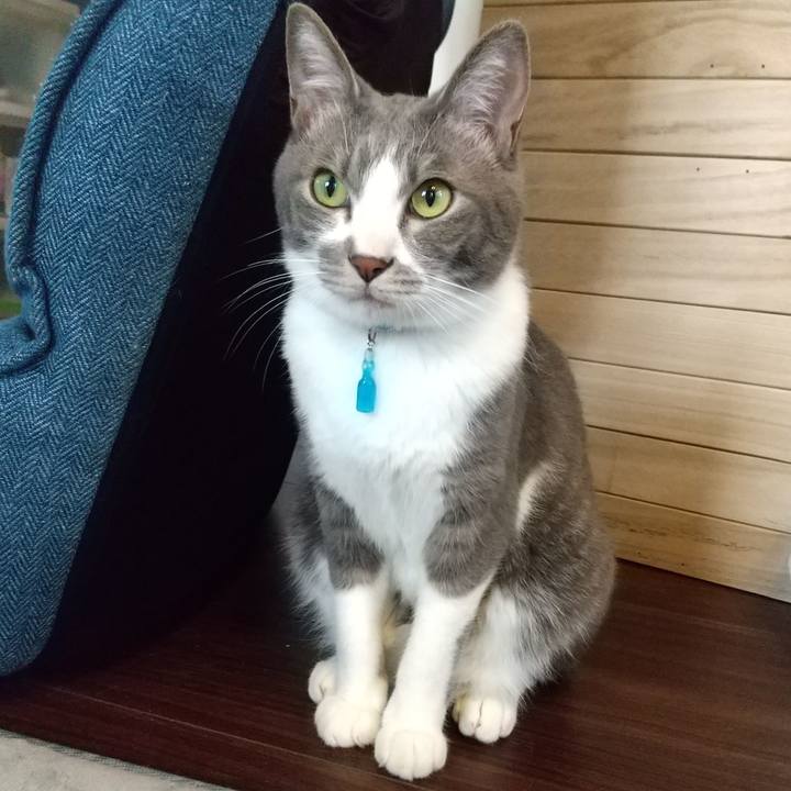 E3a6fb45 eca0 427d b6e8 57841d8f9167 1618643966821