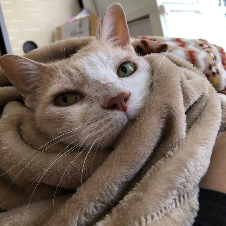 E3a6ff6a 81c5 4e36 ae20 2327055843b2 1624160323516