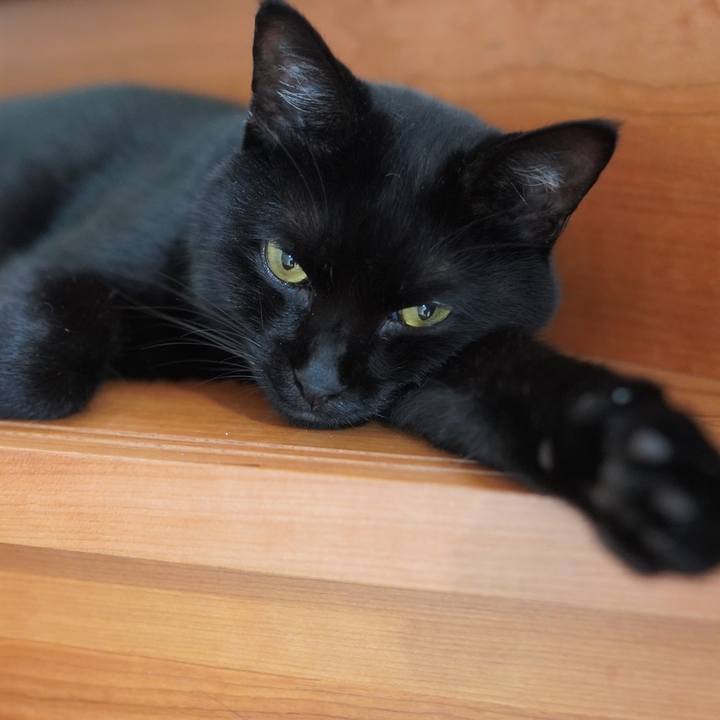 E3a72084 c23b 40a3 85e4 7868c0d85d17 1596592744630