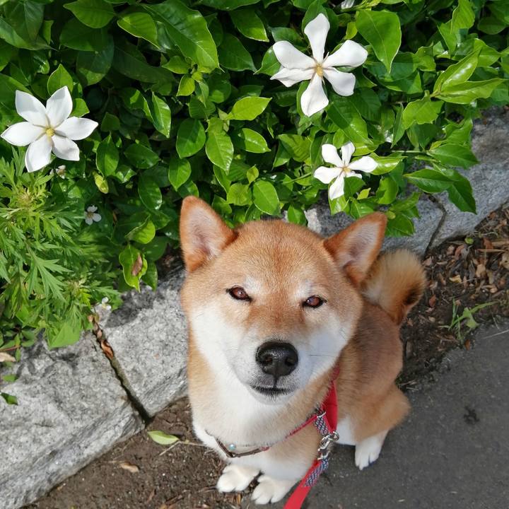 E3a72de8 f2d9 4d15 a413 22464b32990c 1592180830838