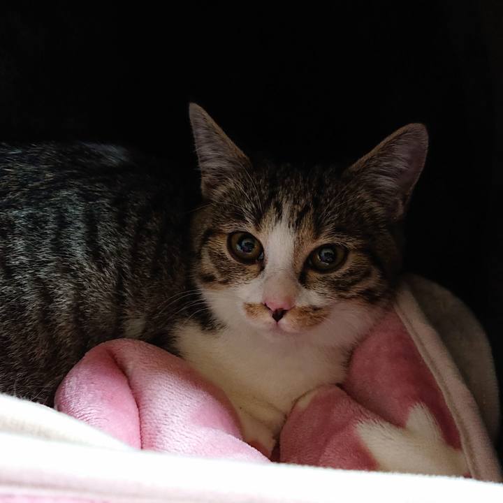 E3a72f68 2979 48f4 8580 7ade70684fe4 1546066434354