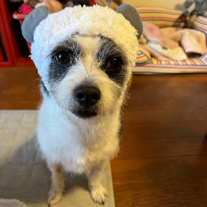 E3a75c7f 0146 4427 a9c1 271f8d6a8892 1740278956605