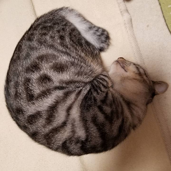 E3a77e0a 1c53 4d5d 8c08 6fad8ff28843 1673690577514