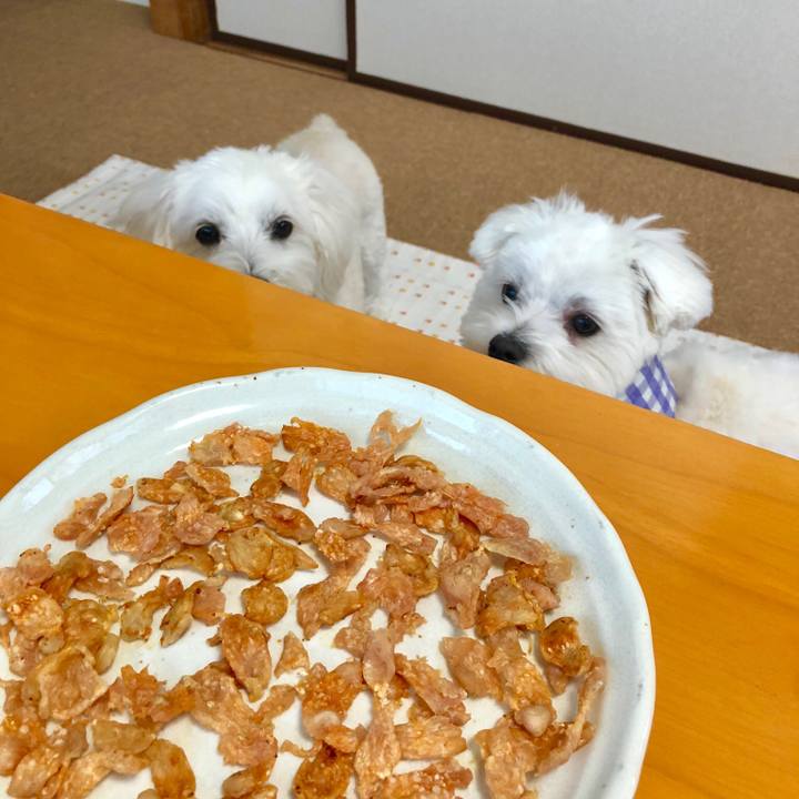 E3a79333 7bc9 4ac2 9ae8 af5c56427dd7 1525074536381