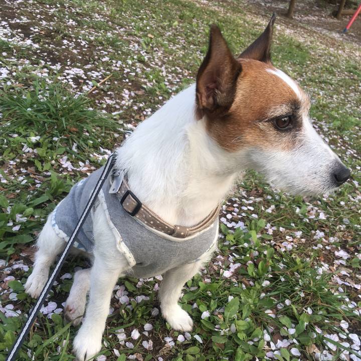 E3a7c5fb 3af2 4fff b11d 565c2d13913b 1555370928238