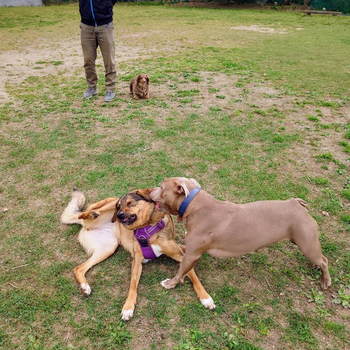 E3a7c901 972e 4891 b9ba 02c2e6e10b8e 1745110258552