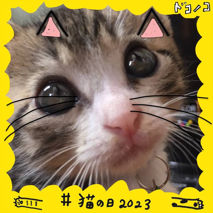 E3a7d590 d34c 4246 8a1a 4d1c847c5081 1677014206301