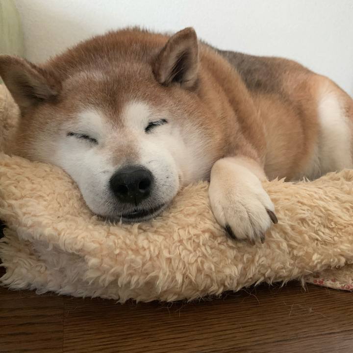 E3a7dd58 a227 4359 a217 ec3b11631ec7 1587278685319