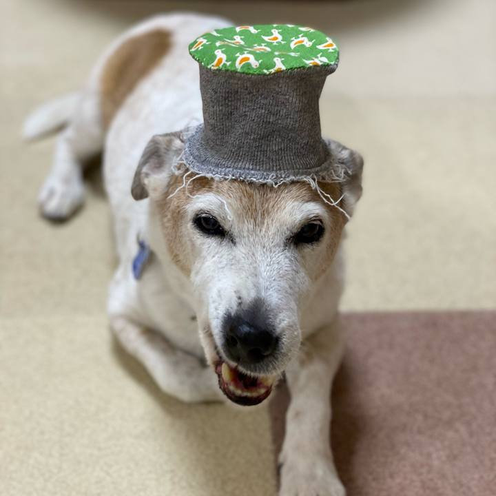 E3a7e908 d8ff 47d6 a6bd bc18a9634944 1644746235200