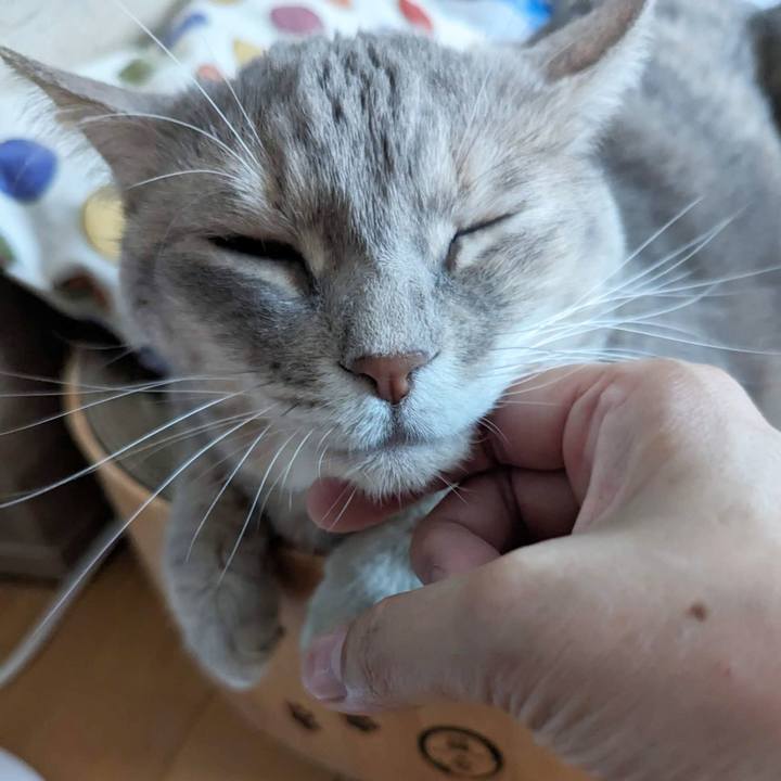 E3a7f554 af68 4d98 a623 cef4b65d44c5 1698291063701