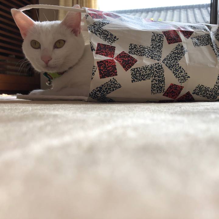 E3a80543 6e1e 4bf9 b12e ef99cc5f1973 1618835720448