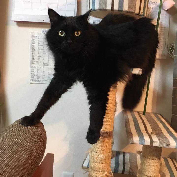 E3a81533 5cb8 46db bee7 2429d138301b 1542019236757