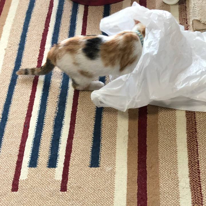 E3a82609 42ef 4ca5 b74f 8edac1624333 1564011331197