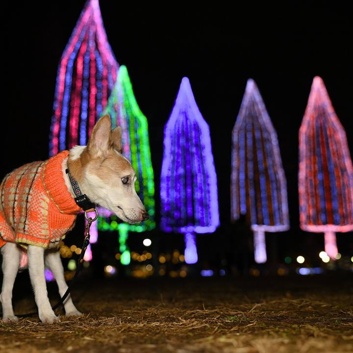 E3a86da1 58e0 40d4 aa82 82a7af16efae 1766152032935