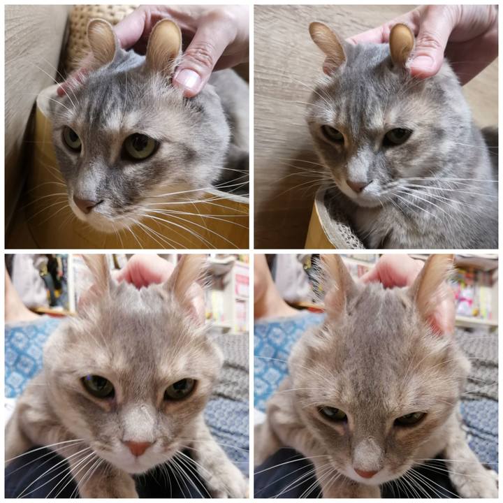 E3a88200 c2dd 4969 aeaf b8bf73e80ca0 1586612307724