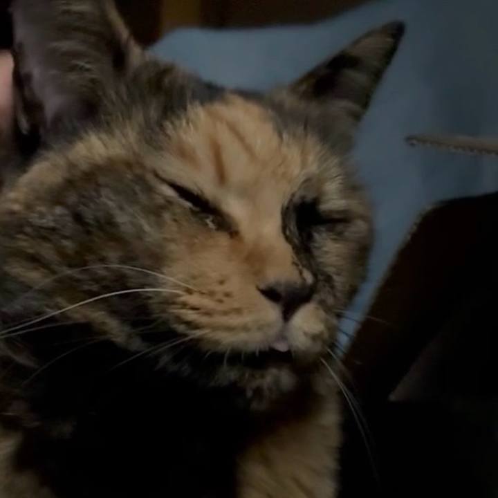 E3a8882a 62c5 4784 8611 13e55d007d05 1761423863509