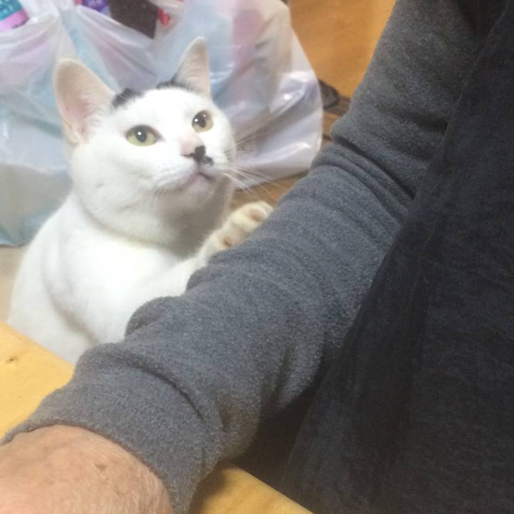 E3a88a11 cc9c 4602 ba70 e8ed5a07e39a 1543580281503