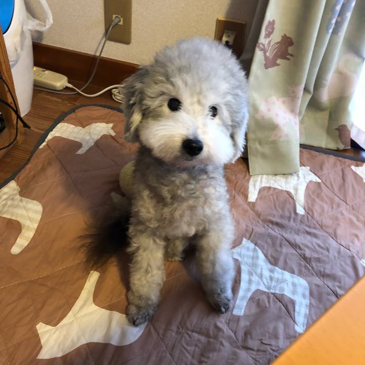 E3a8b036 ffcb 4333 a68b 36a53d4feb0e 1539646676319