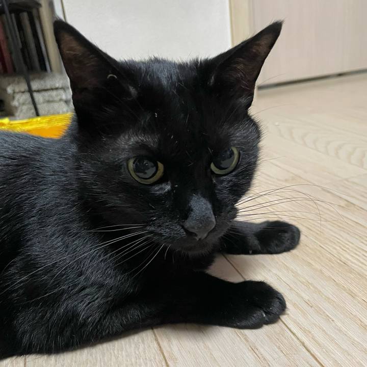 E3a8df21 f98f 4fab 9b08 07164651b2eb 1747572049062