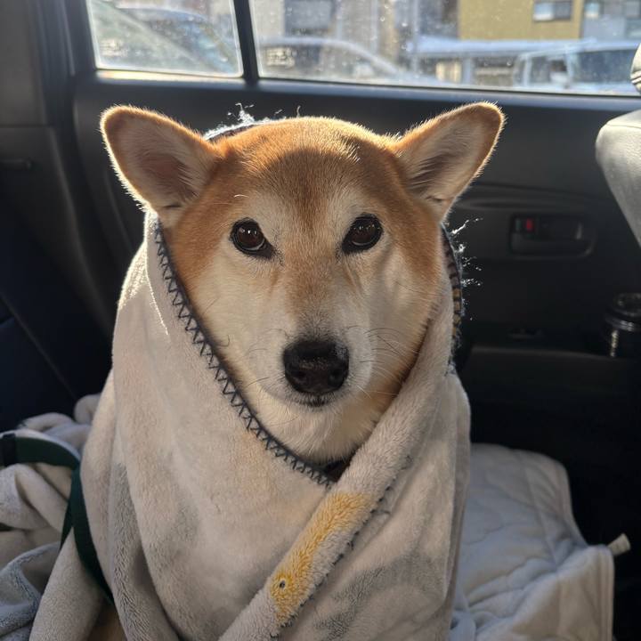 E3a9251b 4a24 4533 8312 b7cd300e1f7a 1770516299700