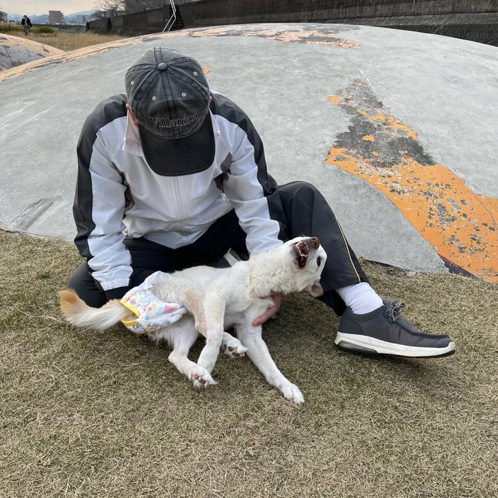 E3a93c63 6d71 47af b574 d96be6e31576 1678269908463