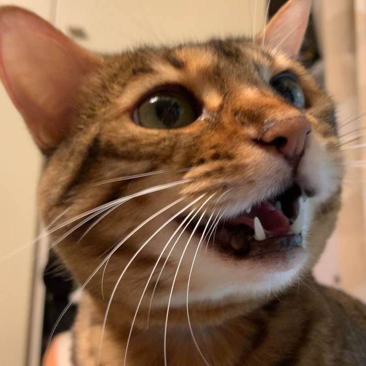 E3a94cbe 5a42 4072 80b4 1563249c2c96 1628393719289