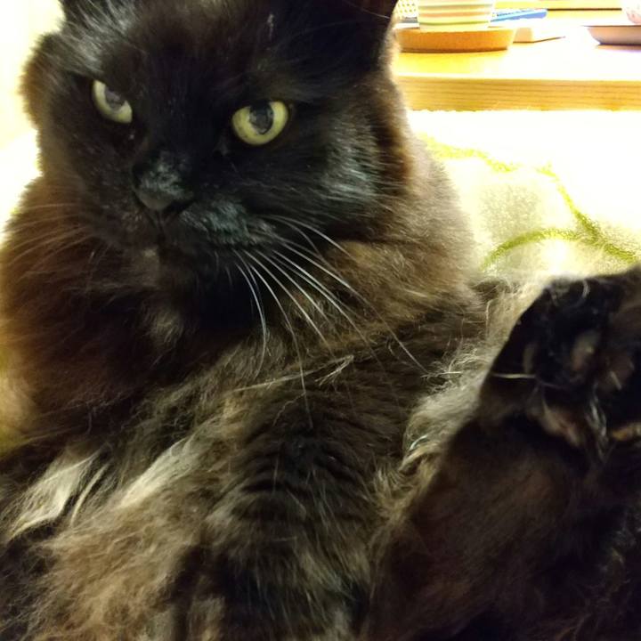 E3a96674 a382 4921 861c f931016b0e19 1646487108920