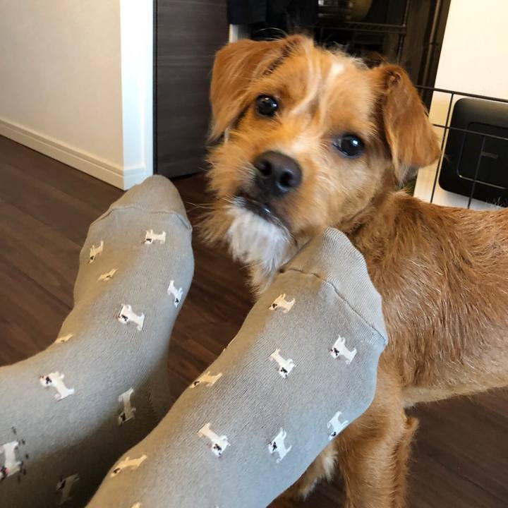 E3a9a194 5da6 4ff9 a97b fe96cf864bc1 1528506782742