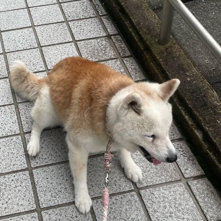 E3aa4e47 9dc6 4602 8539 64af2796ef91 1756989495187