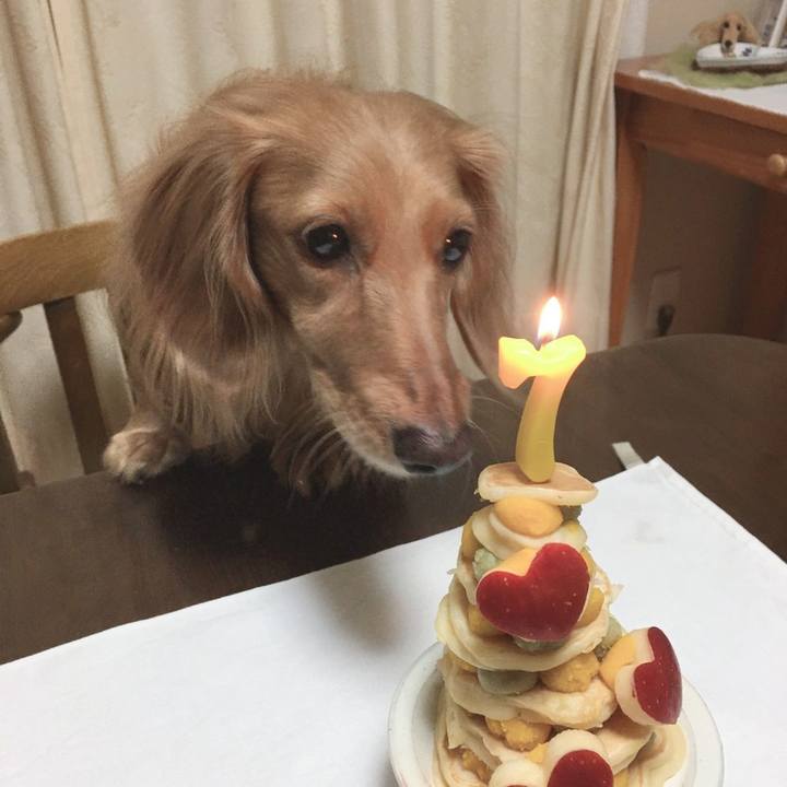 E3aa64c3 1a8e 43ba af00 24c08cbdb100 1637323493170