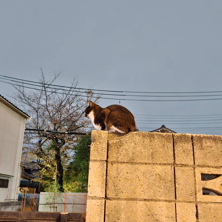 E3aa6dda c35d 44d1 8447 e5315ff8295e 1701828039316