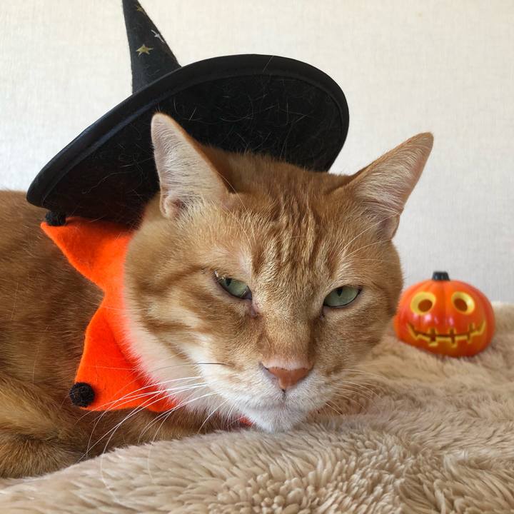 E3aa7a60 8099 458c af11 478454154919 1635036178896