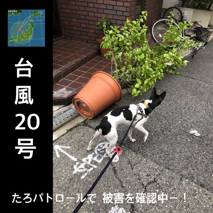 E3aa93b3 0d61 478b a766 2ee85a3d79dd 1535068727512