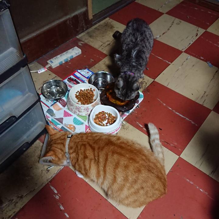 E3aa9622 1def 41aa b231 12b305ccfa87 1595966694481