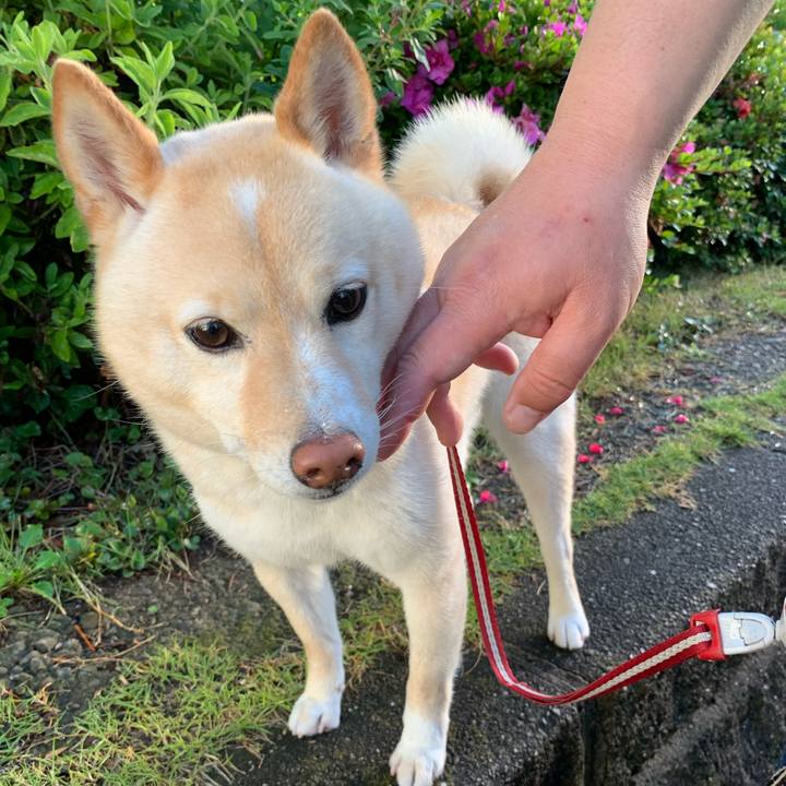 E3aaa690 2e63 4d52 9b44 464ee75dafe1 1654557569330