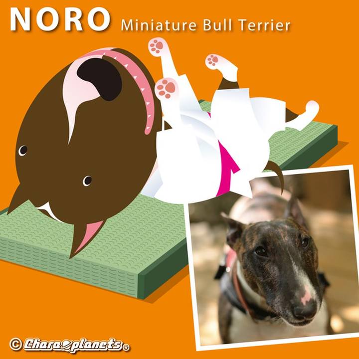 E3aaae38 4e8e 4fad bd85 4344434812e4 1561254796772