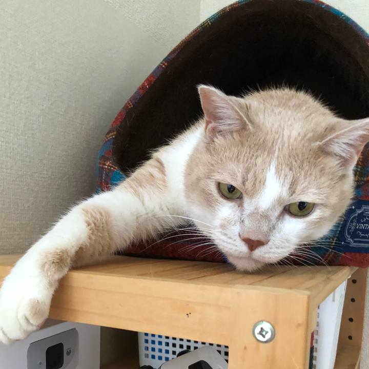 E3aac322 8c06 45ca 81ed 22934d34e7c8 1539508340543