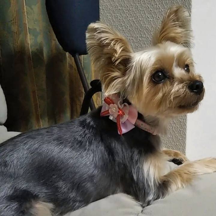 E3aace54 3551 42cd 98c1 79b51cadaaab 1619419632446