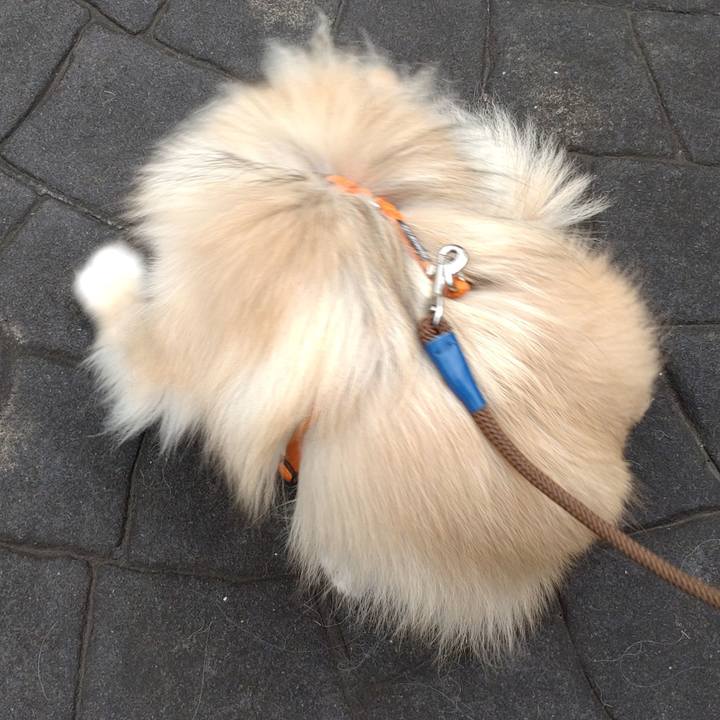 E3aaeeab 958d 44e7 a2df d1d62ff27a23 1743820382437